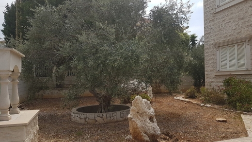 Super Deluxe Villa for Sale In Gerfine Jbeil — 11
