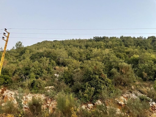 Big Size Land for Sale In Haqel-Jbeil — 4