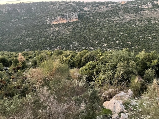Big Size Land for Sale In Haqel-Jbeil
