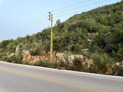 Big Size Land for Sale In Haqel-Jbeil — 3