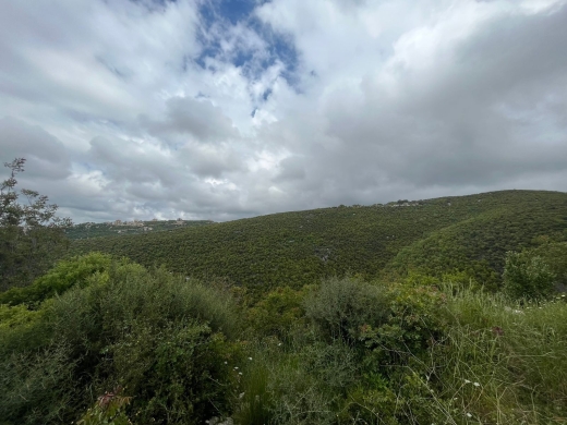 Land for Sale In Kfarkwas-Hboub In A Very Calm Area With Mountain View