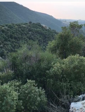 1000 sqm Land for Sale in Braij