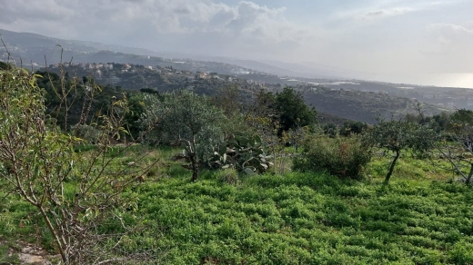 3,255 SQM Land for Sale In Hsarat Jbeil