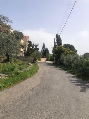 1,255 SQM Land for Sale In Monsef with Olive Trees