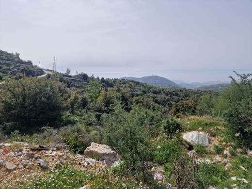 A Unique Land for Sale in Lehfed