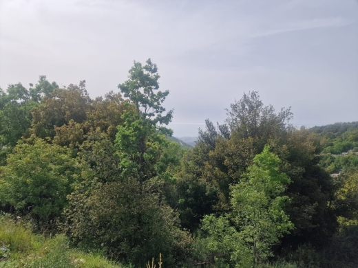 2,360 SQM Land for Sale in Lehfed with Sea View