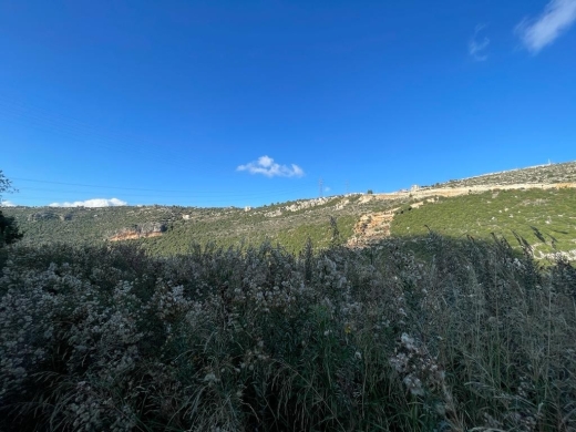 530 SQM Land for Sale In Haqel — 7