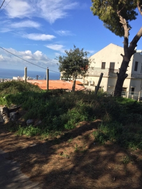 Big Land for Sale In Kfarmashoun, Jbeil — 3