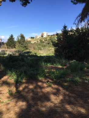 Big Land for Sale In Kfarmashoun, Jbeil — 4