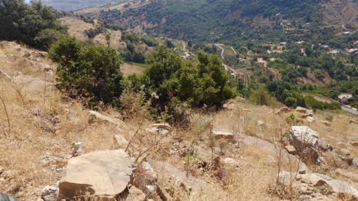 55,550 SQM Land With A Nice View For Sale In Qartaba, Jbeil — 2