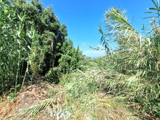 1,486 sqm Land for Sale In Aidamoun Gherfine