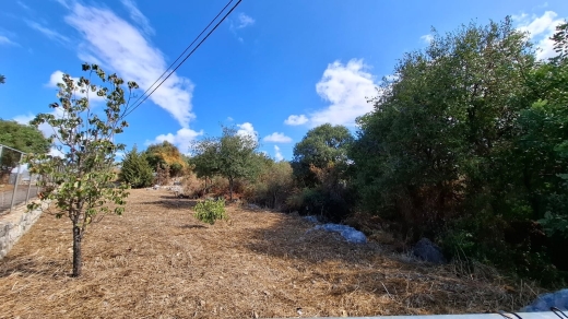 Land With Seaview For Sale In The Center Of Edde-Jbeil — 3