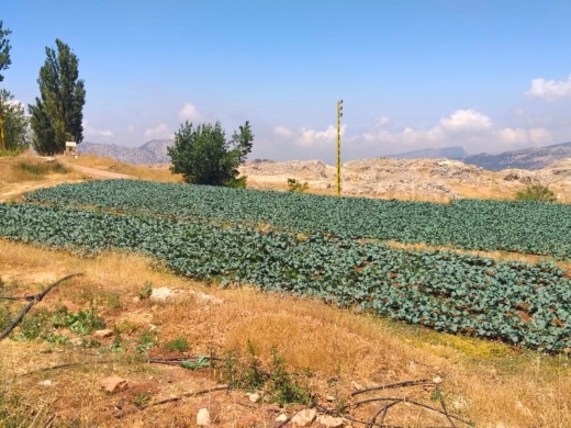 Beautiful Land for Sale in Laqlouq