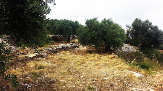 Land with Mountain View For Sale in Chabtine, Batroun — 2