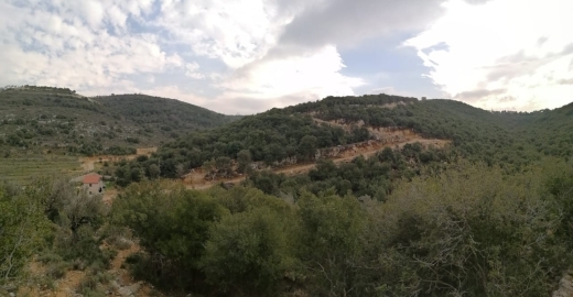 10,237 sqm Land for Sale in Bijdarfel Batroun — 3
