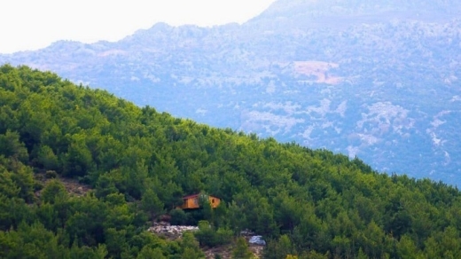8,506 SQM Land for Sale in Hardine, Batroun with a Ready Airbnb Project — 11