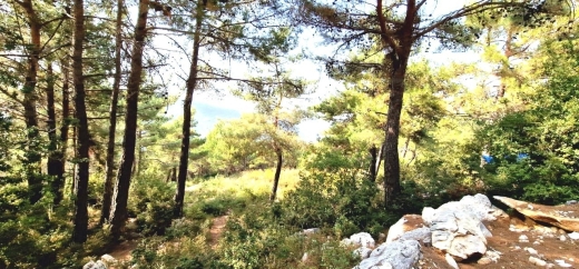 8,506 SQM Land for Sale in Hardine, Batroun with a Ready Airbnb Project — 7