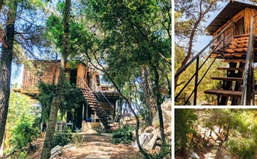 8,506 SQM Land for Sale in Hardine, Batroun with a Ready Airbnb Project — 8
