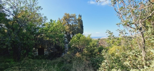 Land With Sea And Mountain View for Sale In Batroun — 2