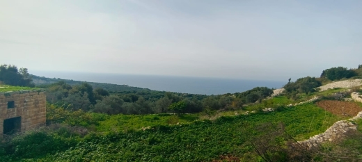 Land With Access to The Road for Sale in Berbara