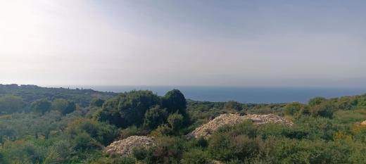 1,200 SQM Land for Sale in Berbara — 2
