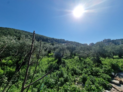 2,638 SQM Land for Sale In Batroun With easy access to The Highway