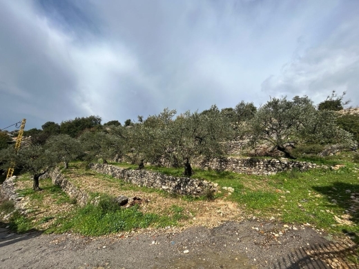 1,280 SQM Land for Sale In Batroun - Chabtine