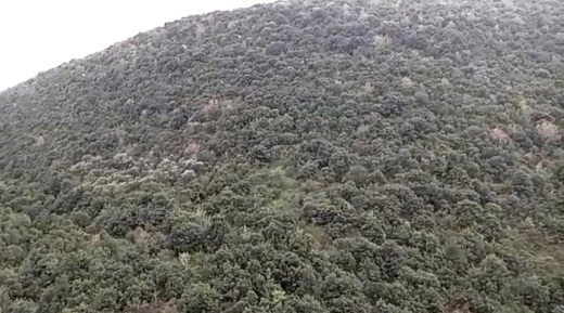 Spacious Land With Mountain View for Sale In Sourat Batroun