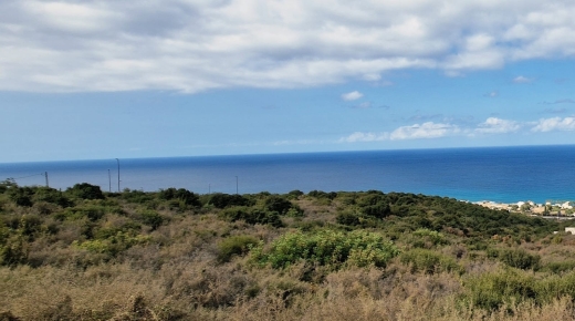 14,020 sqm unbloackable sea view Land for Sale in Batroun - Kfar Aabida