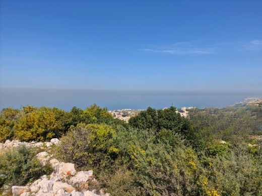 Land With Panoramic Sea View for Sale in Batroun - Kfaraabida