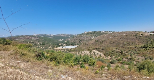 Land Surrounded By Nature for Sale in Basbina