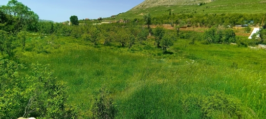 1000 SQM Land for Rent in Faraya