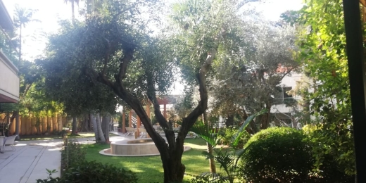 Luxurious High-End Fully Furnished Duplex For Rent With Garden In Rabieh — 9
