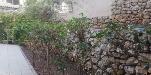 Spacious Apartment With Terrace And Garden for Rent In Mtyaleb — 13