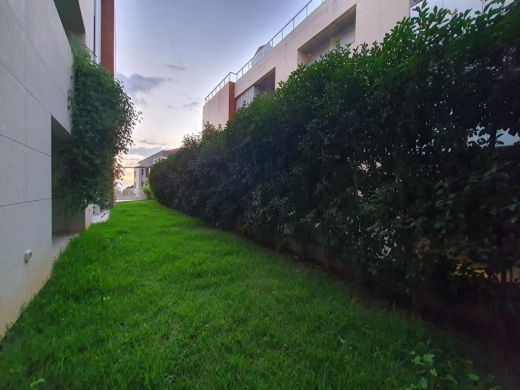 Spacious Semi-Furnished Apartment With Terrace For Rent In Monteverde — 7