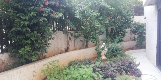 Furnished Appartment with Terrace for Rent in Mtayleb — 19