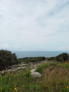 Beautiful Land for Rent In Barbara