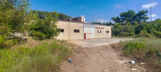 Warehouse On A Huge Land For Rent In Hbaline Jbeil — 3