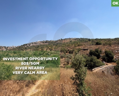Land for sale/Very Calm area/Panoramic Mountain View/Aley/Bhamdoun-بحمدون/REF#OK140015
