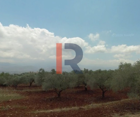 R9-3894 Land for Sale in Nakhleh – Koura, 2179 m², Zoning 20/40