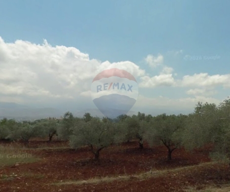 R9-3894 Land for Sale in Nakhleh – Koura, 2179 m², Zoning 20/40 أرض للبيع في نخلة – الكورة، 2179 م²، تنظيم 20/40