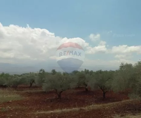 R9-3894 Land for Sale in Nakhleh – Koura, 2179 m², Zoning 20/40 أرض للبيع في نخلة – الكورة، 2179 م²، تنظيم 20/40