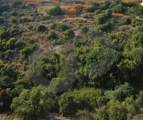 LAND/BLAT,JBEIL/جبيل / PRIME LOCATION/minutes from the highway/ REF#RS140090 ! — 2