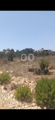 أرض للبيع في دده الكورة على الزفت | Land for Sale Deddeh Koura