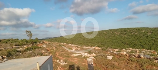 أرض للبيع في شمع صور كاشفة البحر بمساحة 31535 م2 | Land for Sale in Shamaa Tyre Sea View