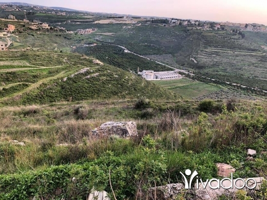 أخبار شهواني اعتماد صور ارض للبيع Oazis Kiten Com