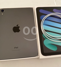 iPad mini 6