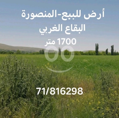 Lands for sale in Mansoura - Land for mansoura west beqaa أرض المنصورة البقاع الغربي