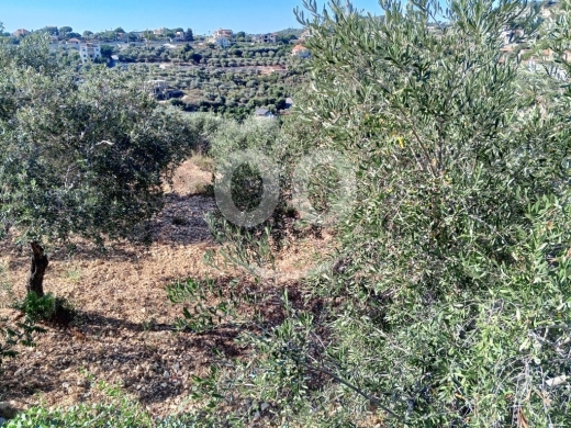 Lands for sale in Batroun - 2056m2 Land+mountain view 4 sale in Batroun - أرض للبيع في البترون