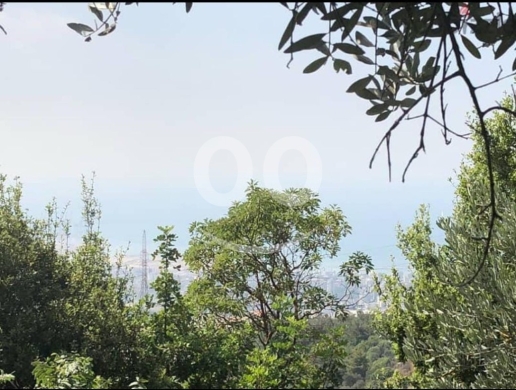 Lands for sale in Ain Saadeh - 1125 m2 land+Mountain view 4sale in Ain Saadeh-أرض للبيع في عين سعادة